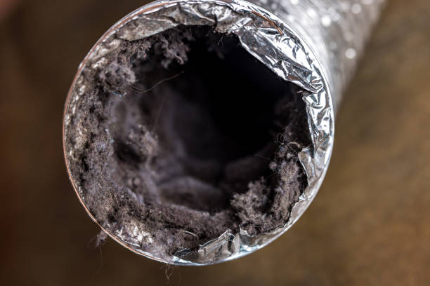 Best Commercial Air Duct Cleaning  in Bowling Green, KY