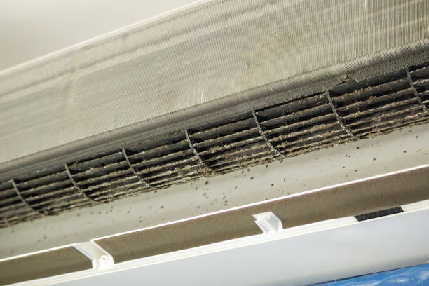 Best Air Duct Cleaning Near Me  in Bowling Green, KY